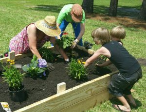 Plant A Seed @ Sangaree Library